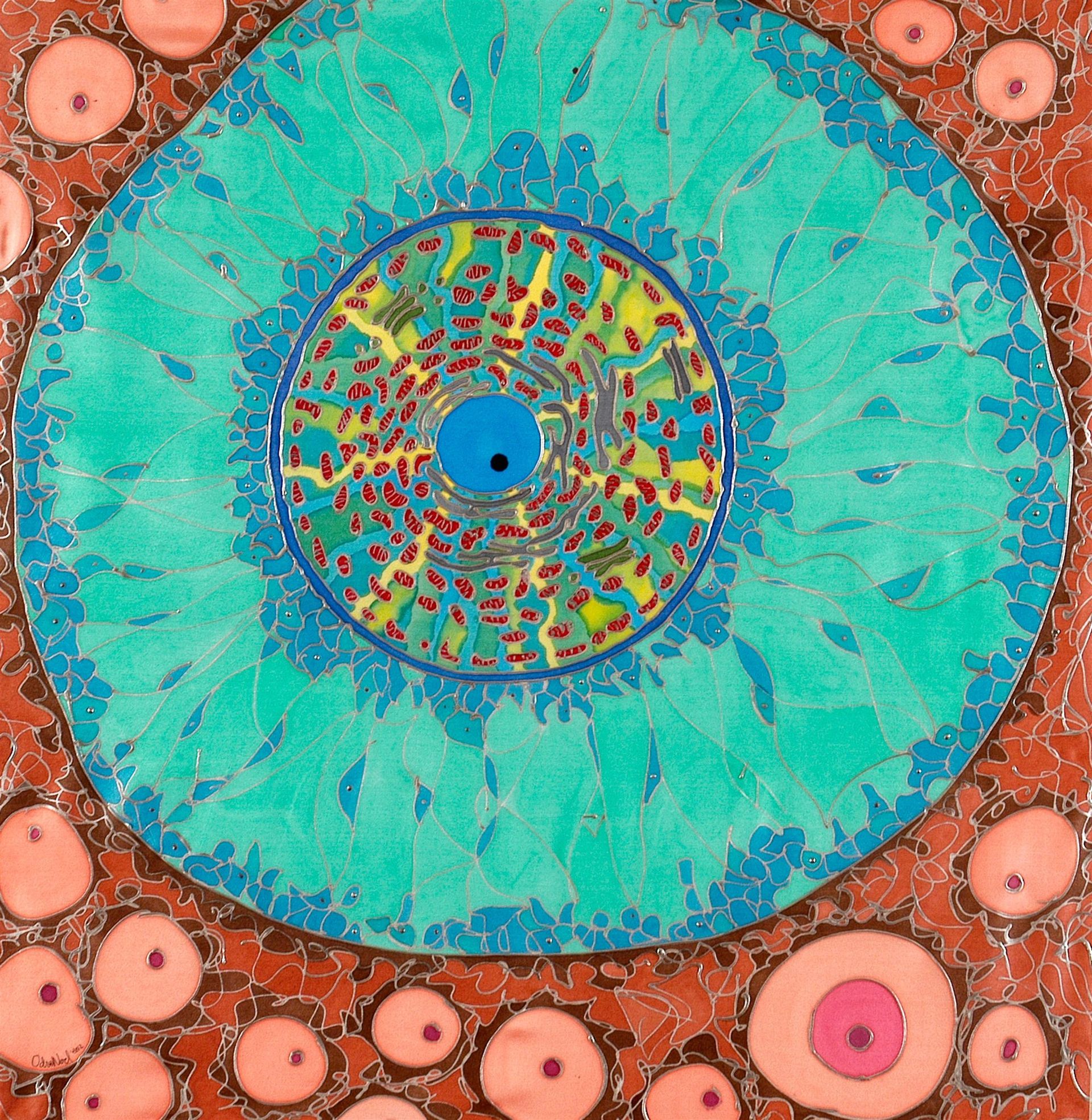 Painted artwork of an ovum surrounded by cells, from Christina Weis's research on egg provision
